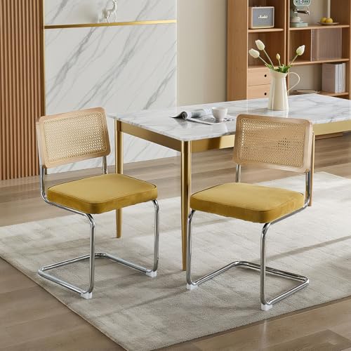 Naptly Stühle 2er Set | ergonomische Esszimmerstühle Lehne & Samt Sitz | moderner Wohnstil für, Küche & Wohnzimmer Golden