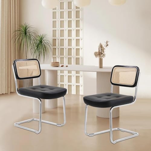 SEHAUSEU Esszimmerstuhl 2er Freischwinger Stühle Rattan Stühle Schwingstuhl Küchenstuhl Polsterstuhl mit PU Sitzpolster Belastbarkeit 130 Kg für Esszimmer und Esstisch